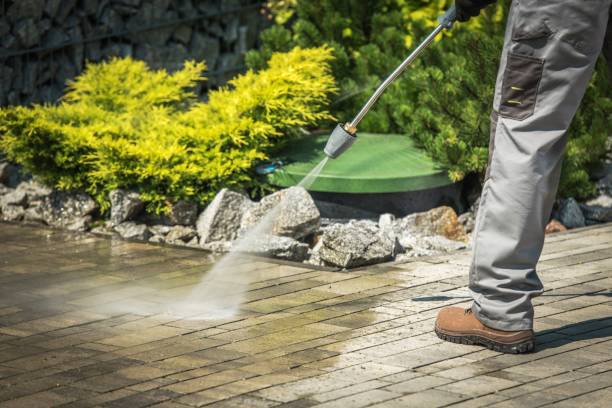 Animal Enclosure Cleaning in Pearl River, MS
